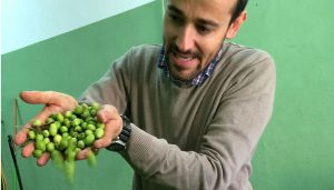 Antonio Trivellizzi, uno dei titolari del Frantoio Pedicone. Passione, tradizione e innovazione